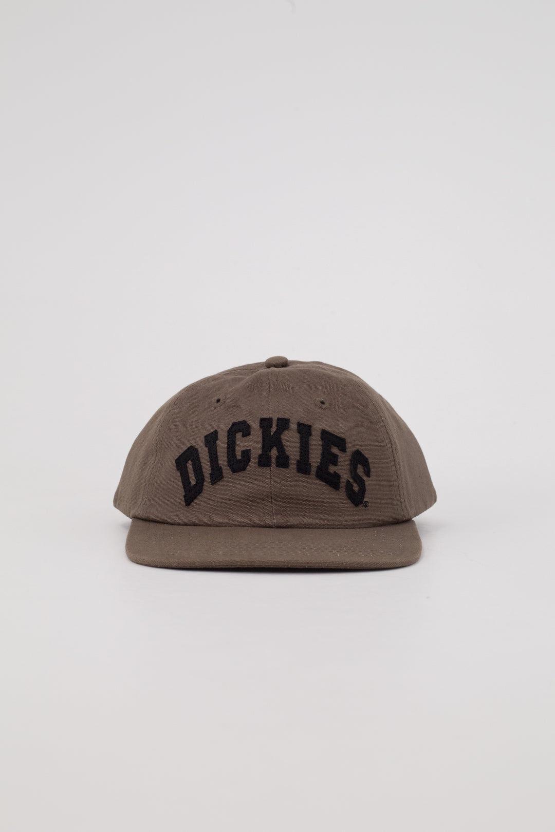 Dickies Princeton Cap