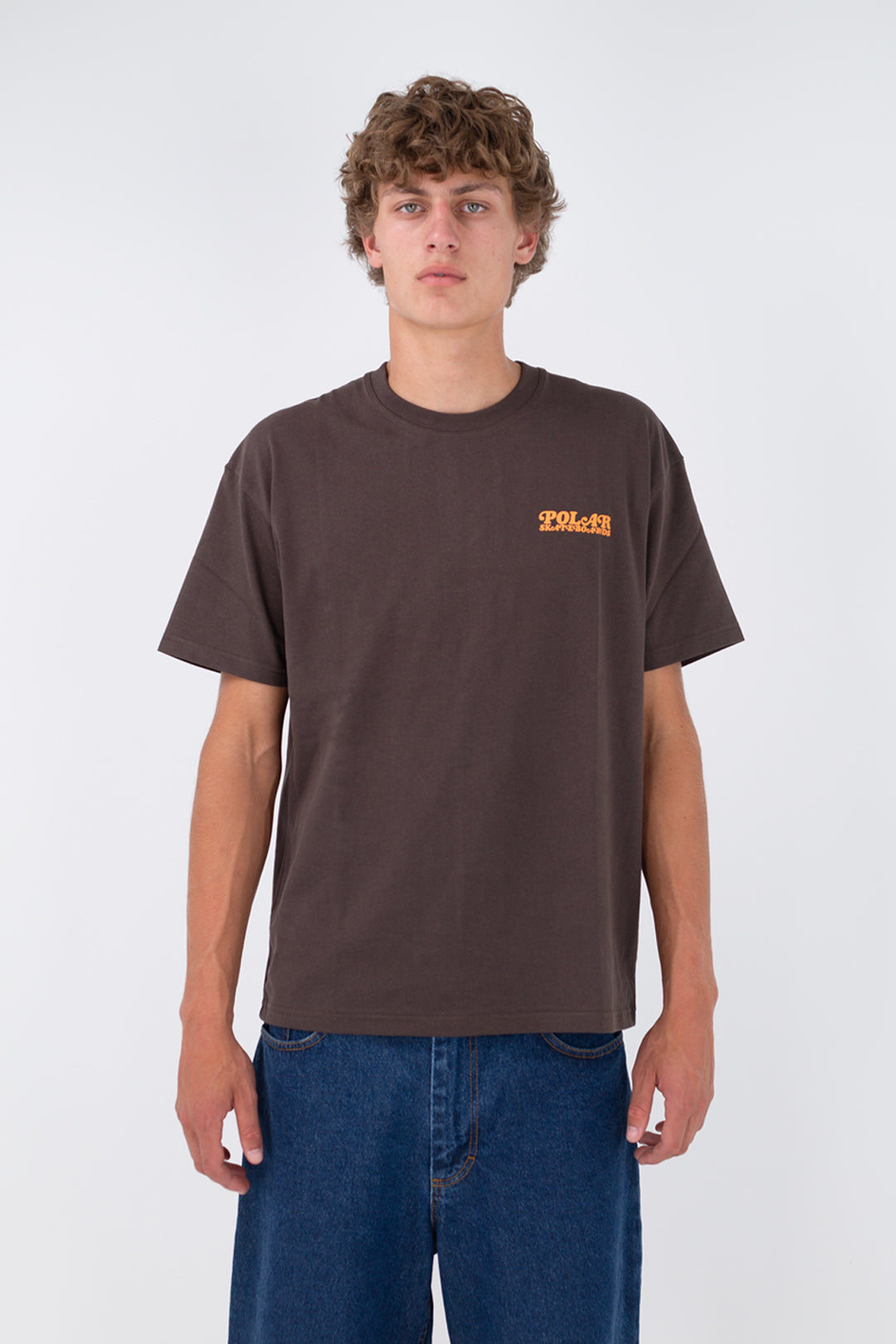 Polar Skate Co. Fields Tee Chocolate